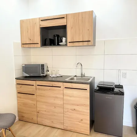 Loft Am Kurpark, Naehe Kurpark, Gop, Balitherme, Mit Waschmaschine U Kueche