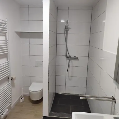 Loft Am Kurpark, Naehe Kurpark, Gop, Balitherme, Mit Waschmaschine U Kueche *